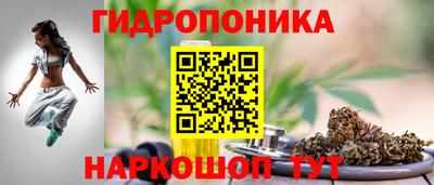 мяу мяу мука Гусь-Хрустальный