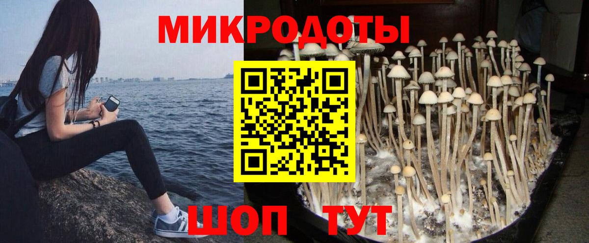 Псилоцибиновые грибы ЛСД Златоуст