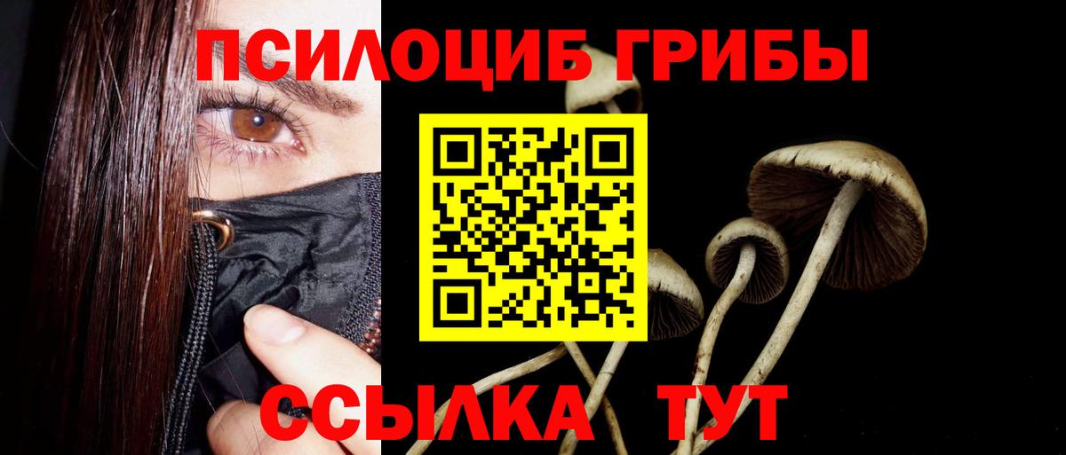 Златоуст  Галлюциногенные грибы MAGIC MUSHROOMS  Вход с VPN  Псилоцибиновые грибы Psilocybine cubensis 